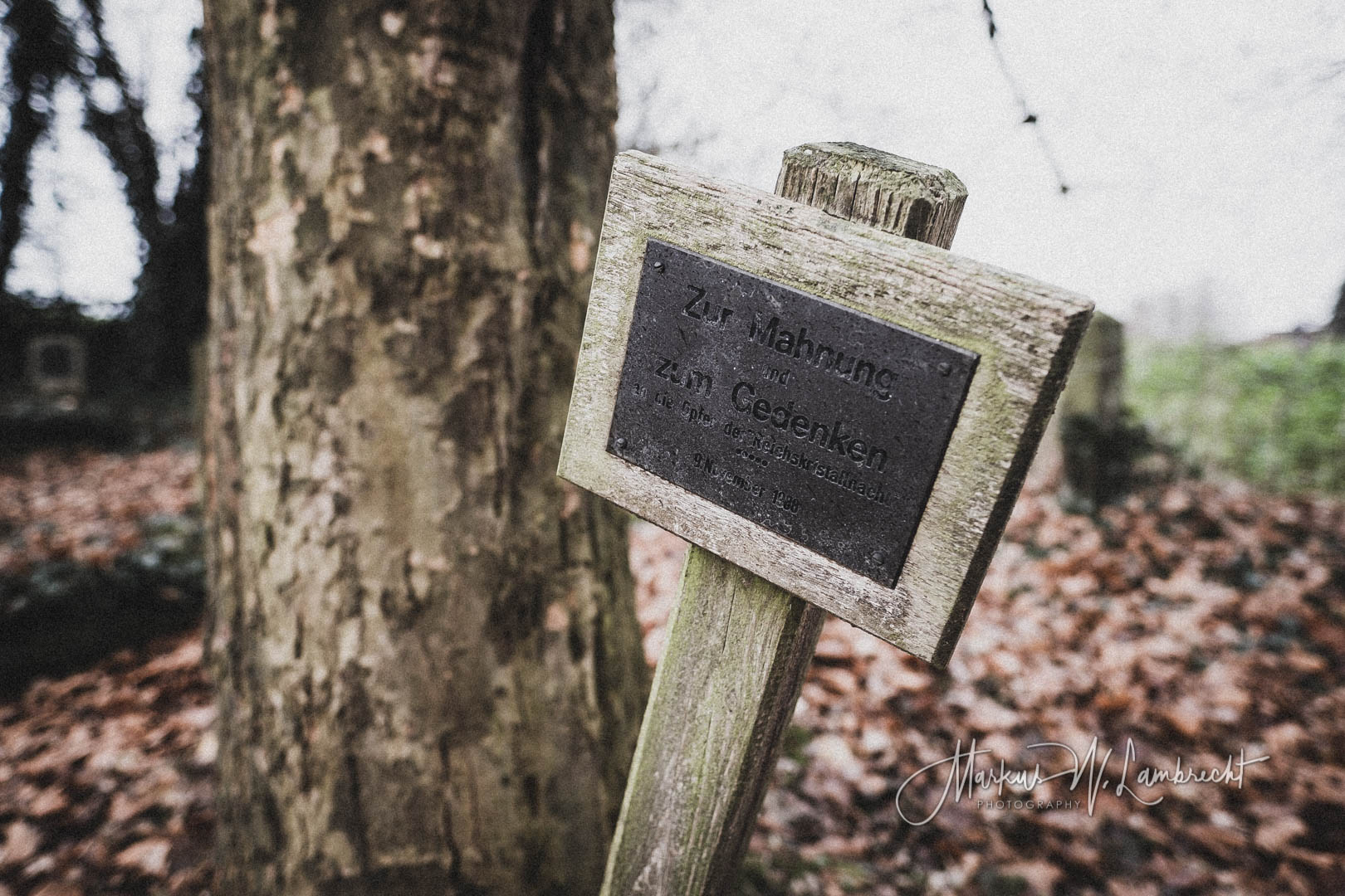 Dassel, Jüdischer Friedhof